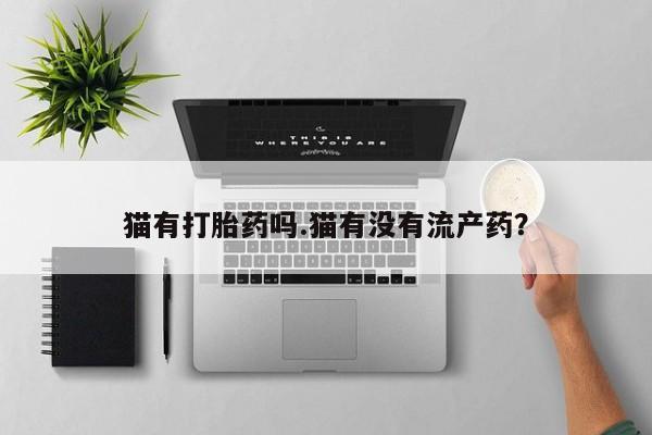 流产药微信联系方式无副作用猫有打胎药吗.猫有没有流产药？